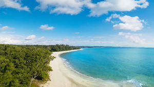 carliemaxicab_home_desaru_300x170